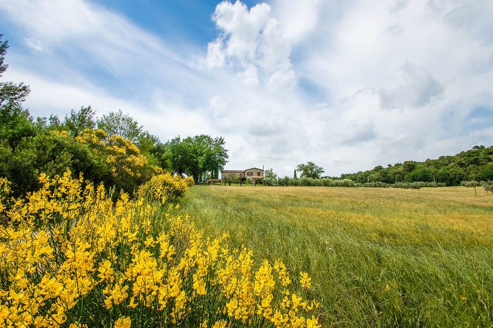 Photo of Outdoor in Narni