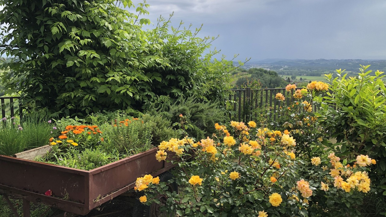 Photo of Outdoor in Asti