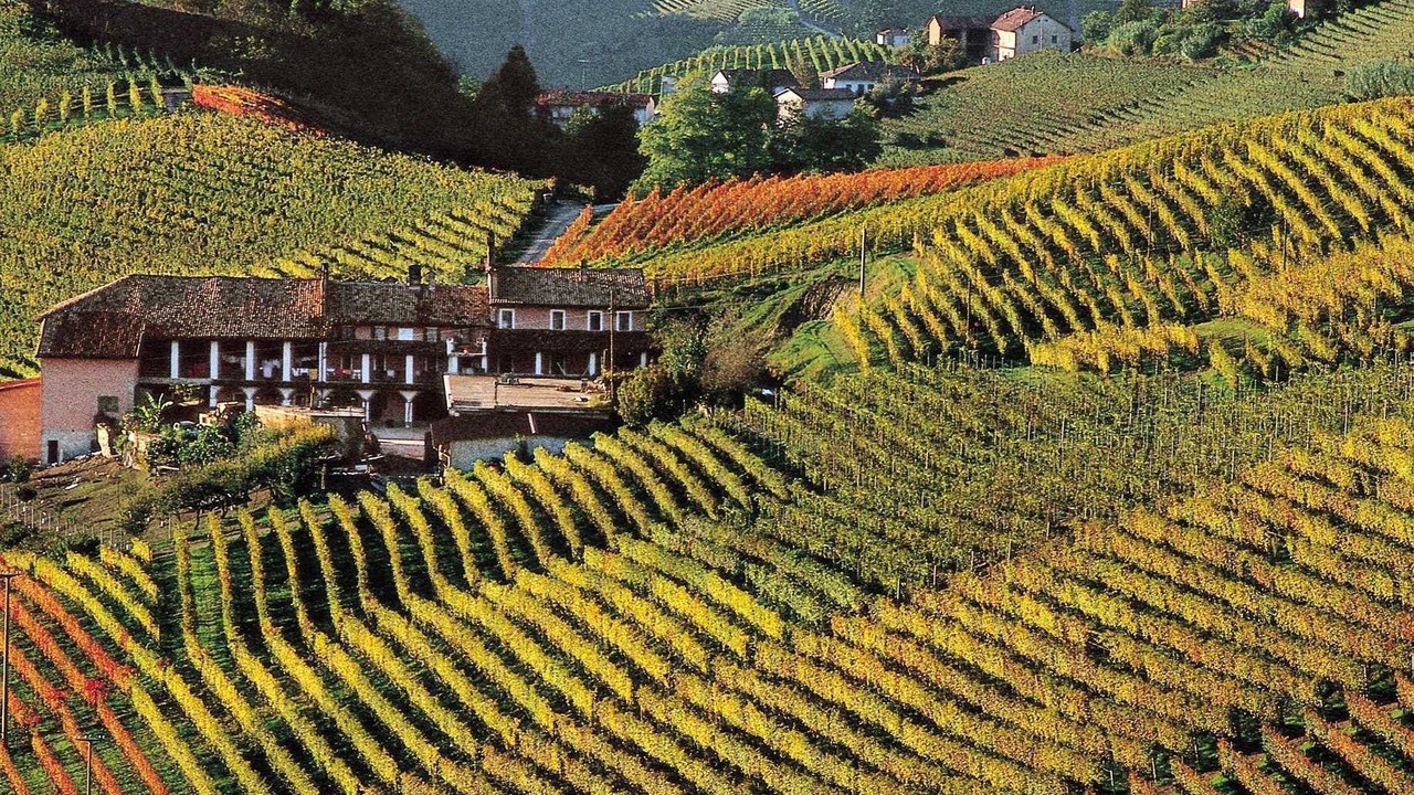 Photo of Outdoor in Asti
