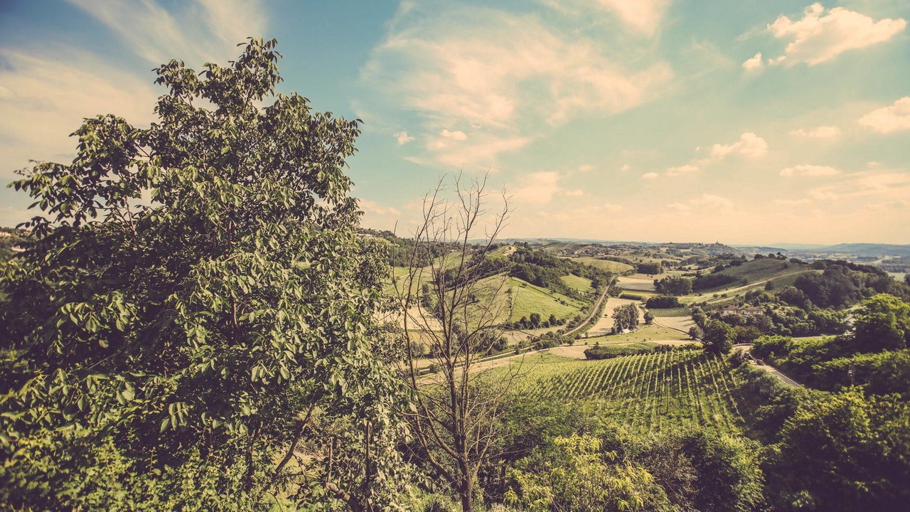 Photo of Outdoor in Asti