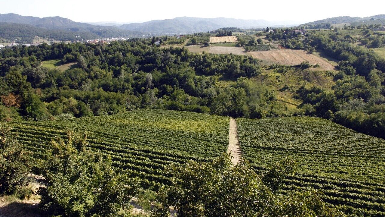 Photo of Outdoor in Ovada