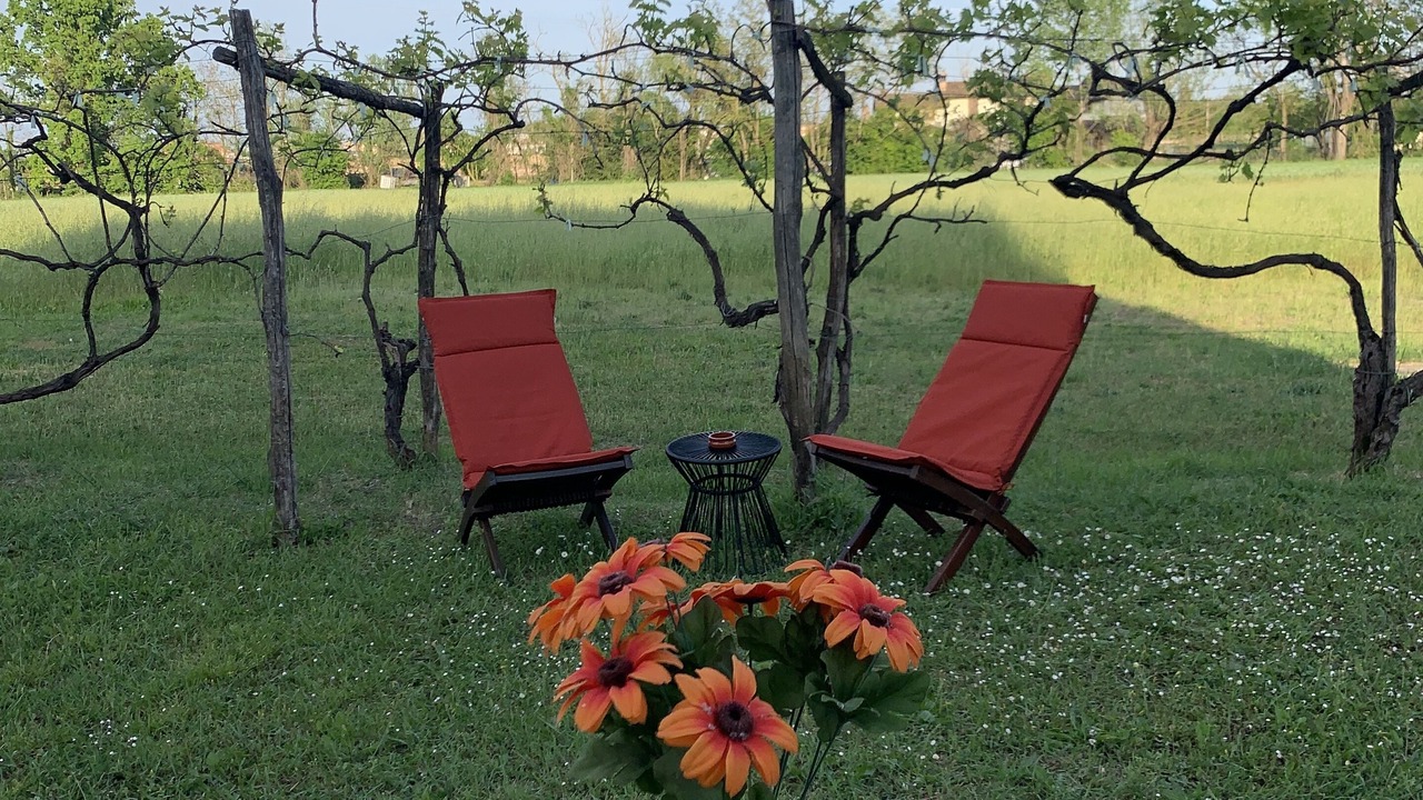 Photo of Outdoor in Fiorenzuola d'Arda