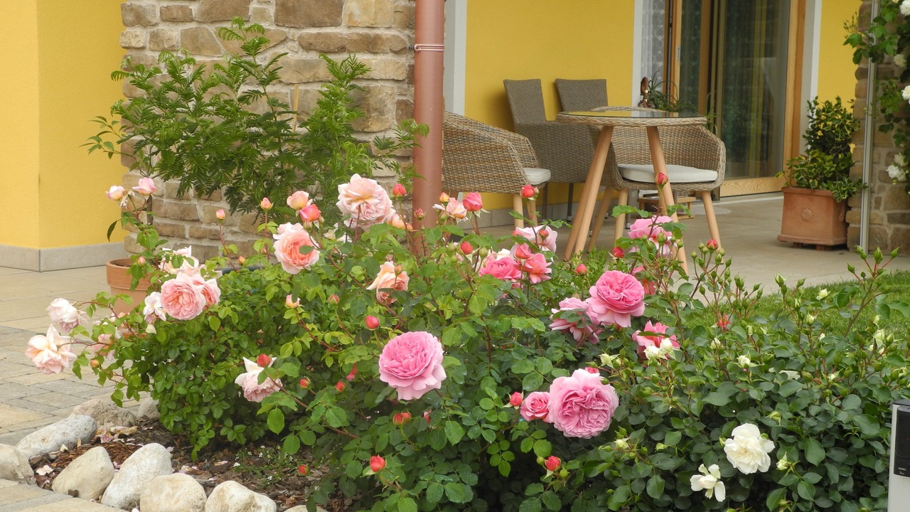 Photo of Outdoor in Gargagnago di Valpolicella