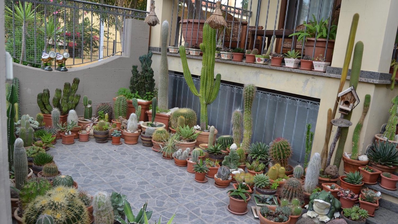Photo of Outdoor in Torre Grande
