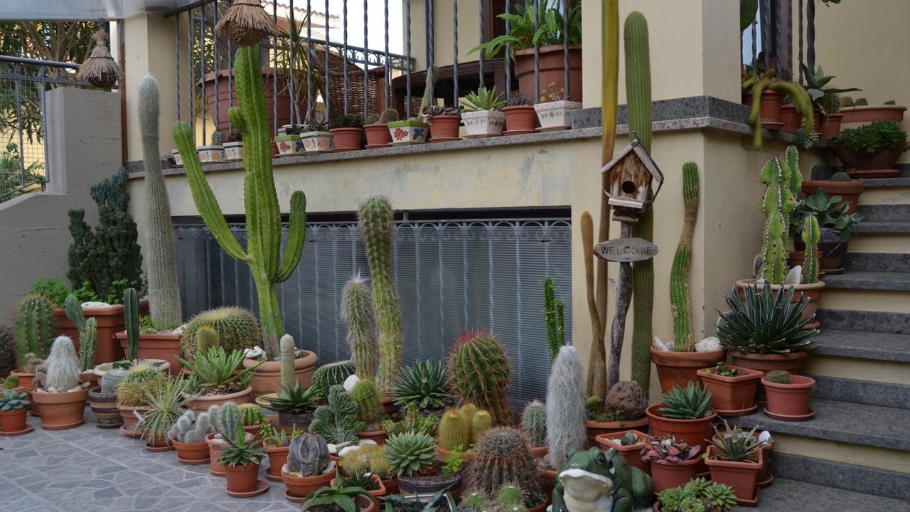 Photo of Outdoor in Torre Grande
