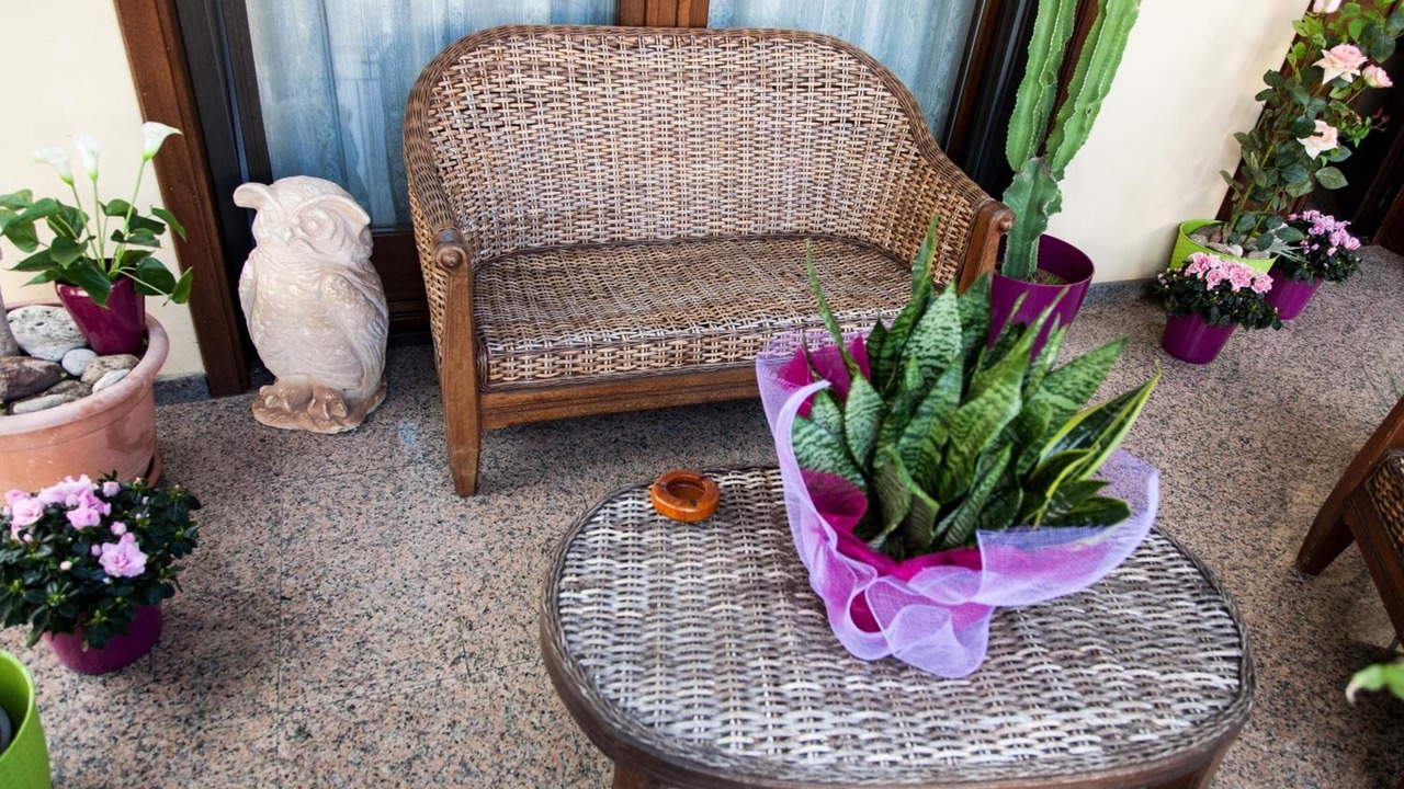 Photo of Outdoor in Torre Grande