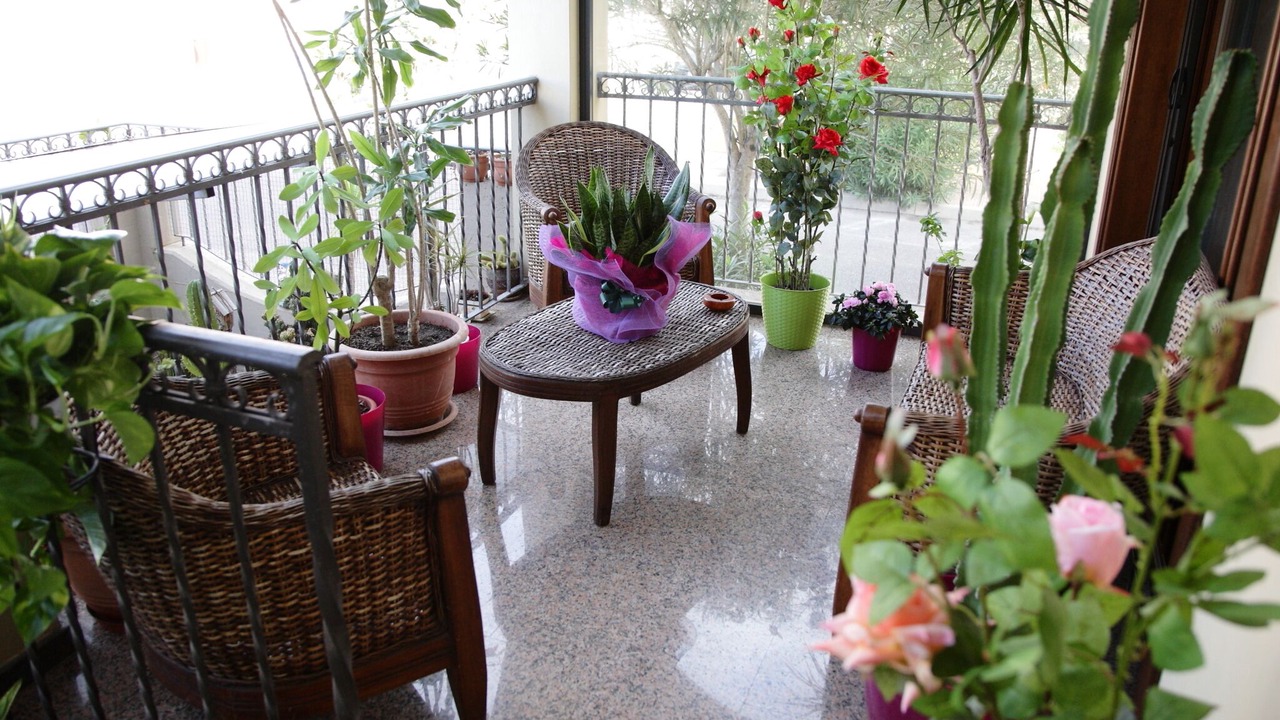Photo of Patio Balcony in Torre Grande