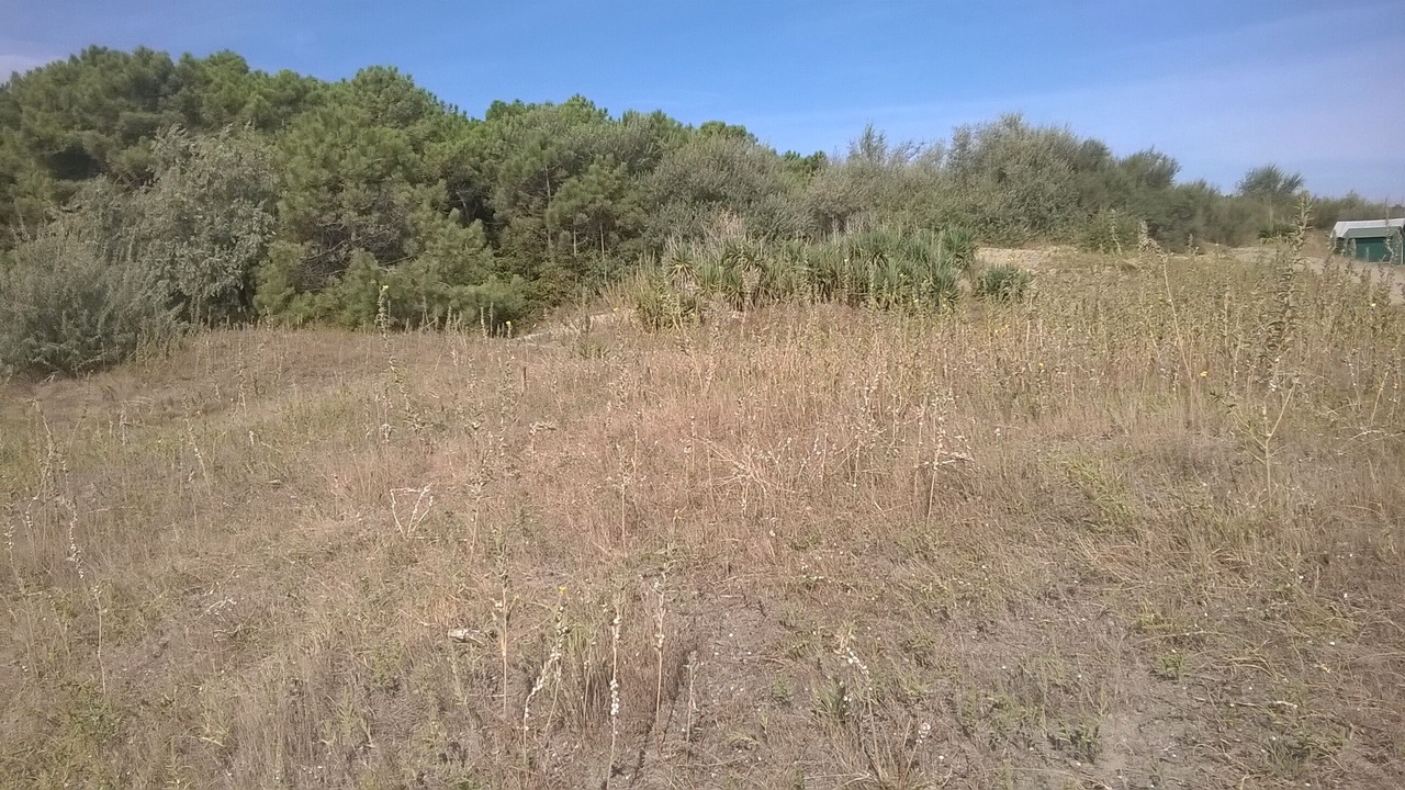Photo of Outdoor in Punta Marina