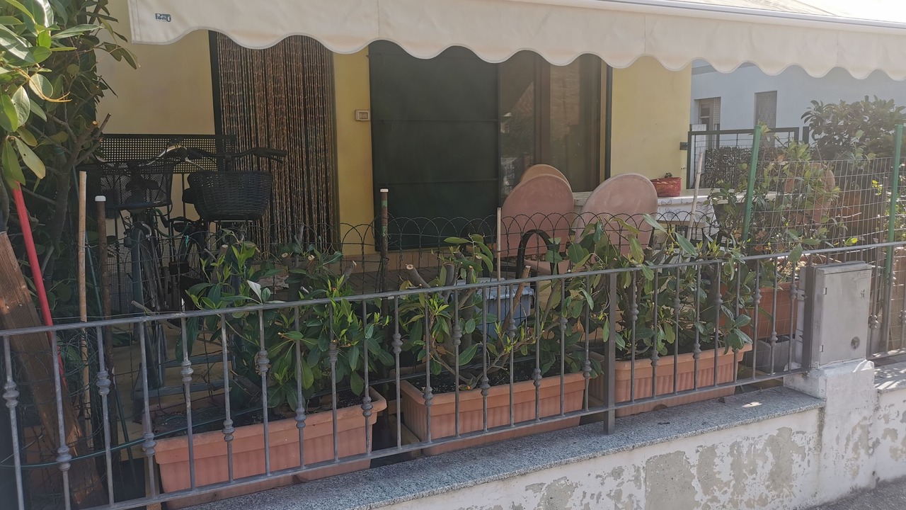 Photo of Outdoor in Punta Marina