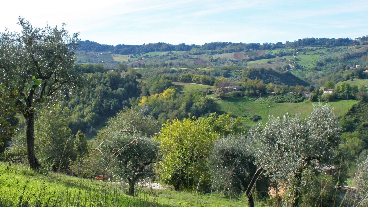 Photo of Outdoor in Cupramontana