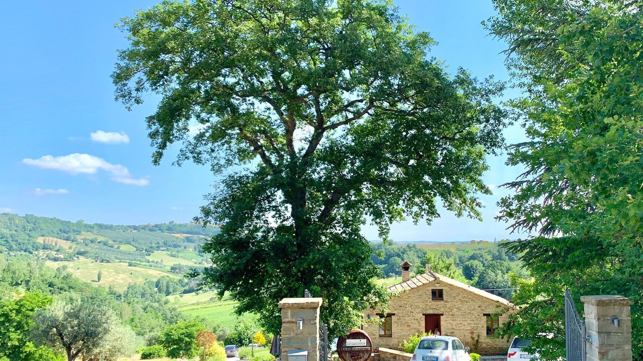 Photo of Outdoor in Cupramontana