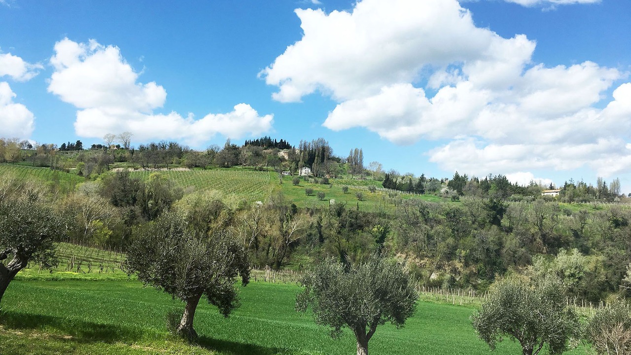 Photo of Outdoor in Cupramontana