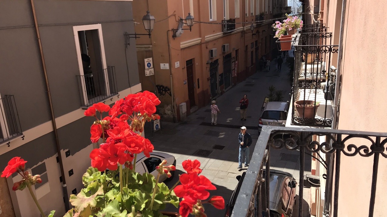 Photo of Others in Marina District