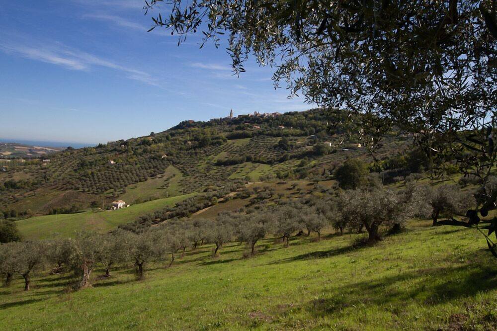 Photo of Outdoor in Citta Sant'Angelo