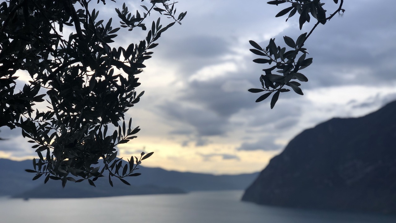 Photo of Others in Riva di Solto