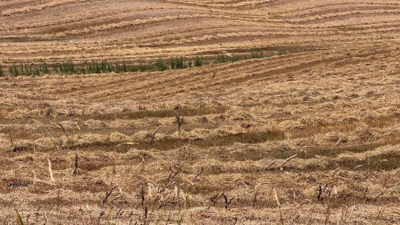 Photo of Outdoor in Castelnuovo Berardenga