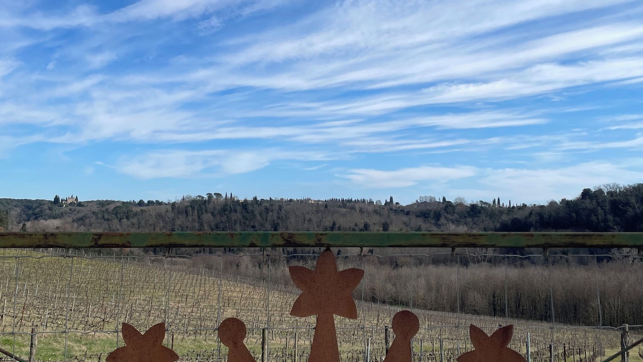 Photo of Outdoor in Castelnuovo Berardenga