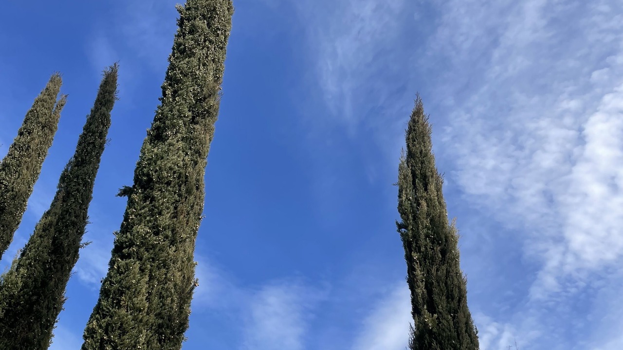 Photo of Outdoor in Castelnuovo Berardenga