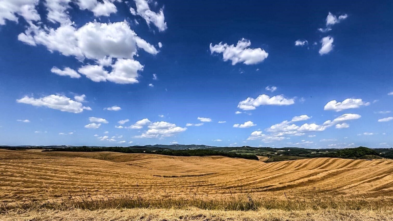 Photo of Outdoor in Castelnuovo Berardenga
