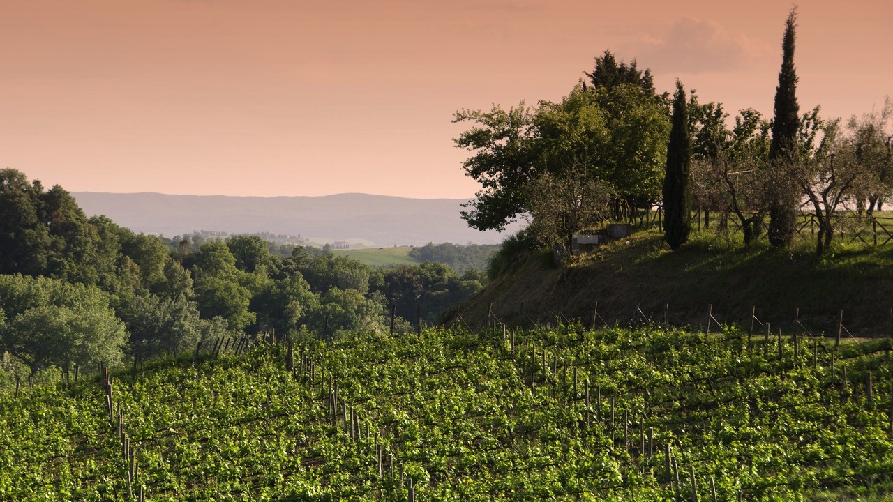 Photo of Outdoor in Castelnuovo Berardenga