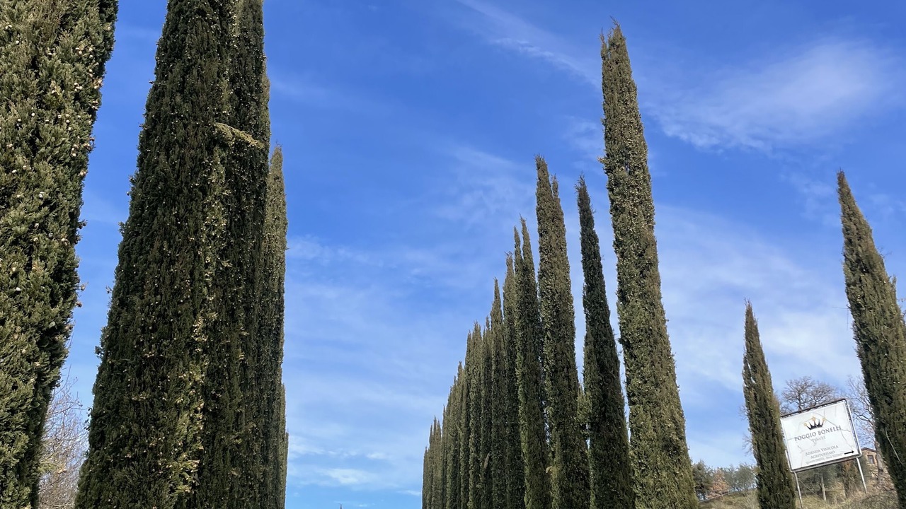 Photo of Patio Balcony in Castelnuovo Berardenga