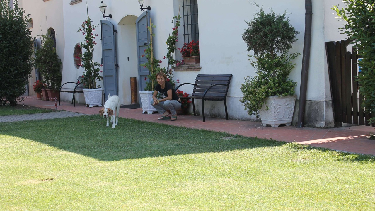 Photo of Outdoor in Malalbergo