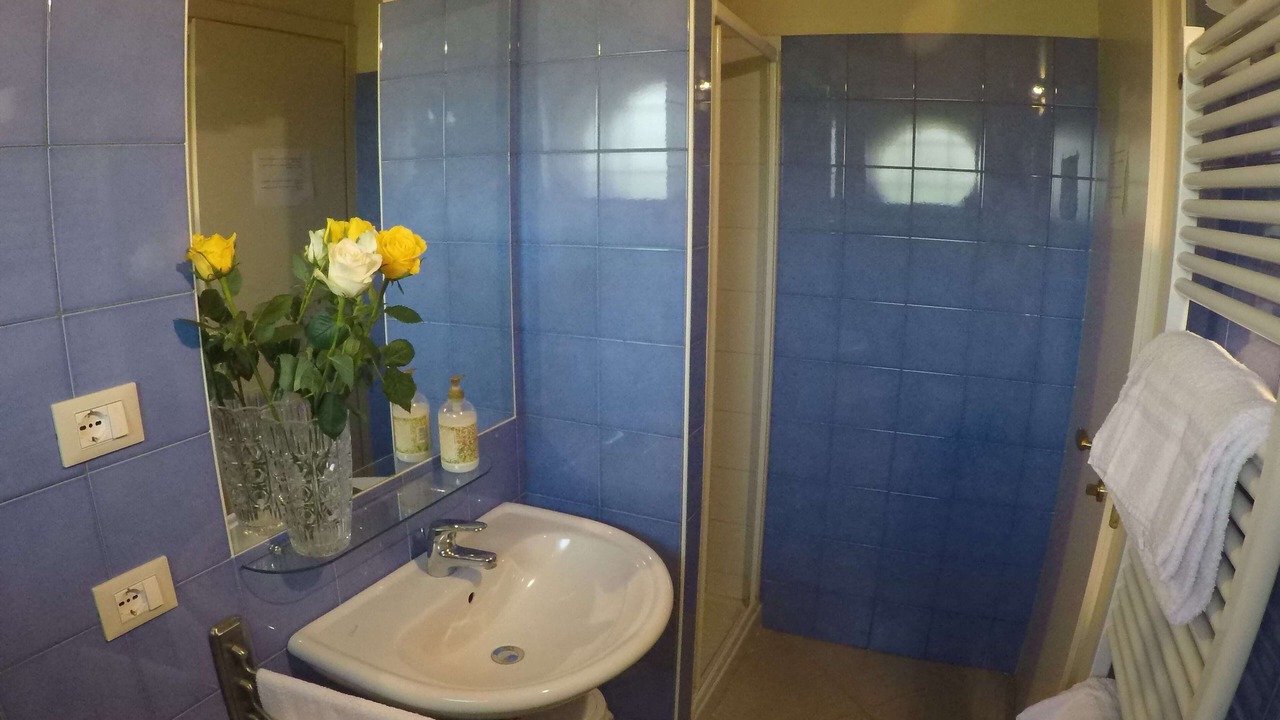 Photo of Bathroom in Malalbergo