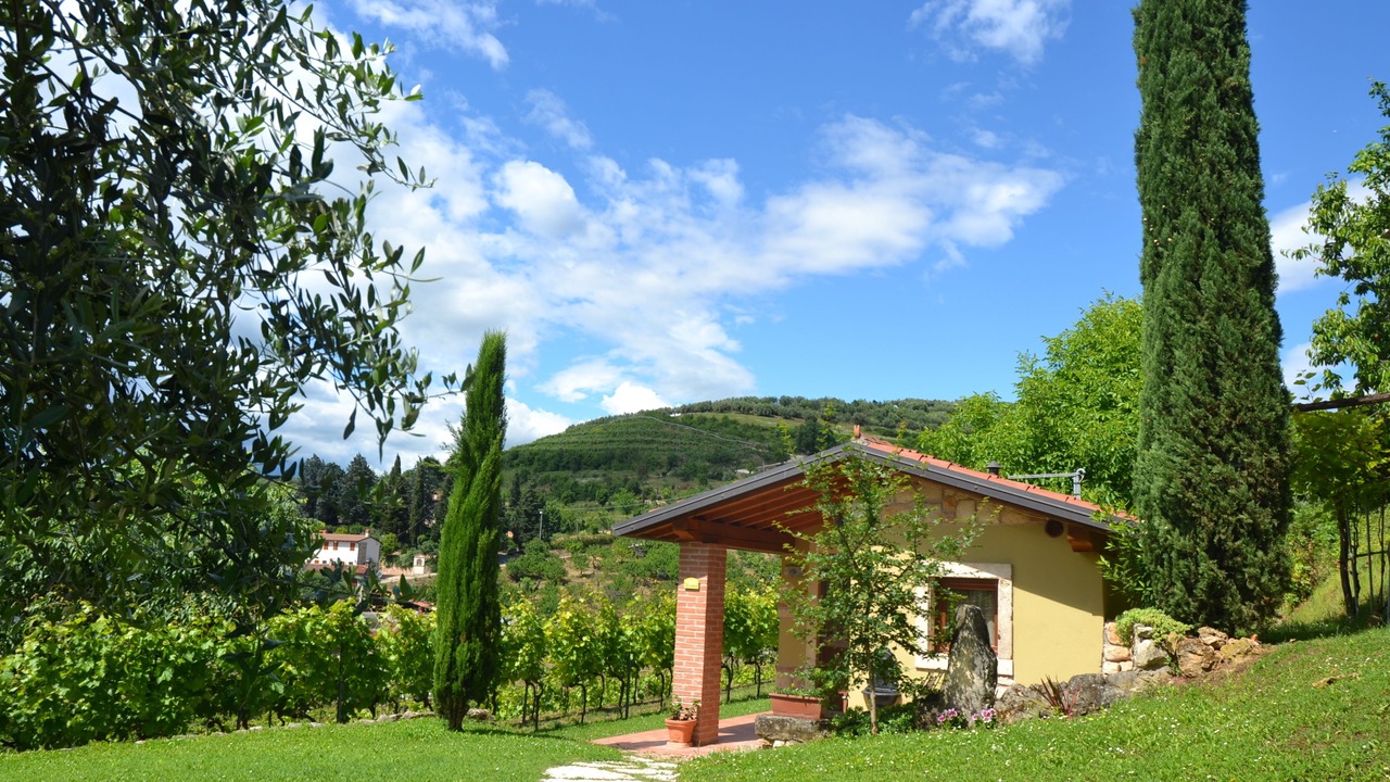 Photo of Bedroom in Soave