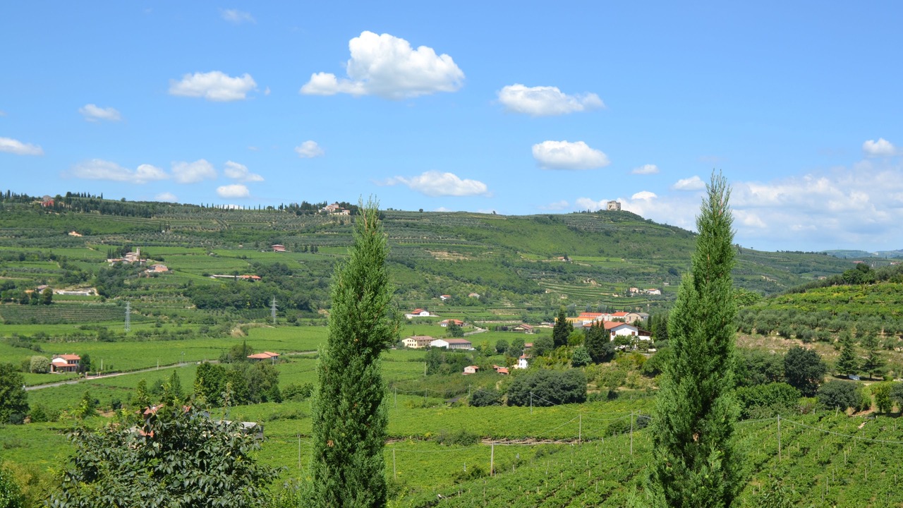 Photo of Others in Soave