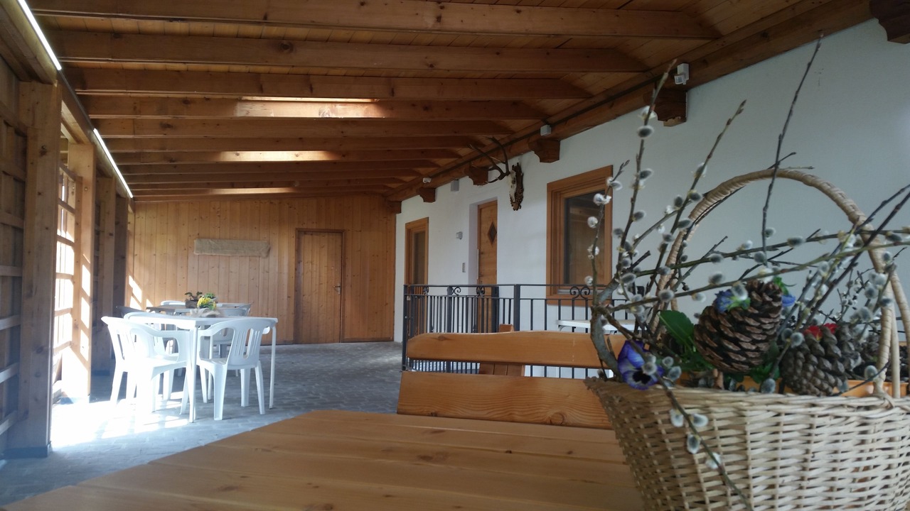 Photo of Others in Pellizzano