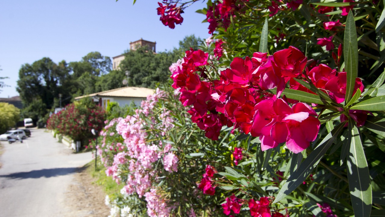 Photo of Outdoor in Grottammare