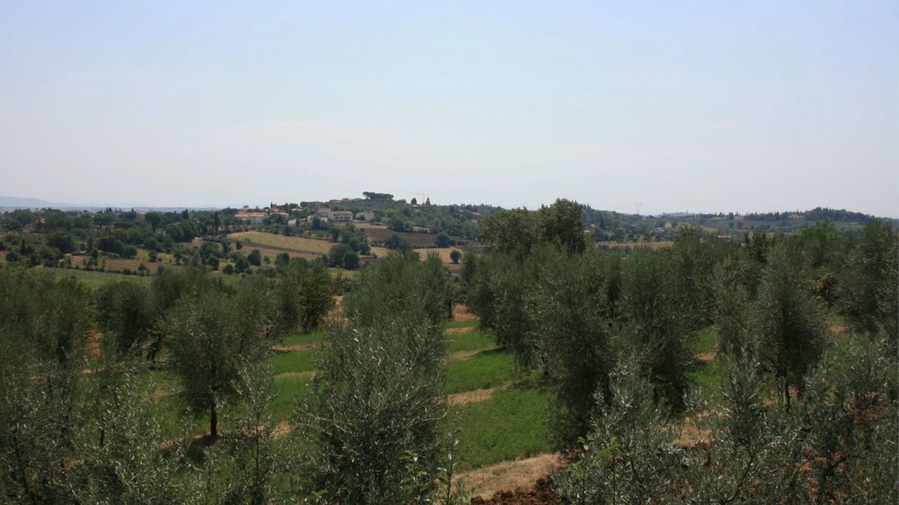 Photo of Others in Marciano della Chiana