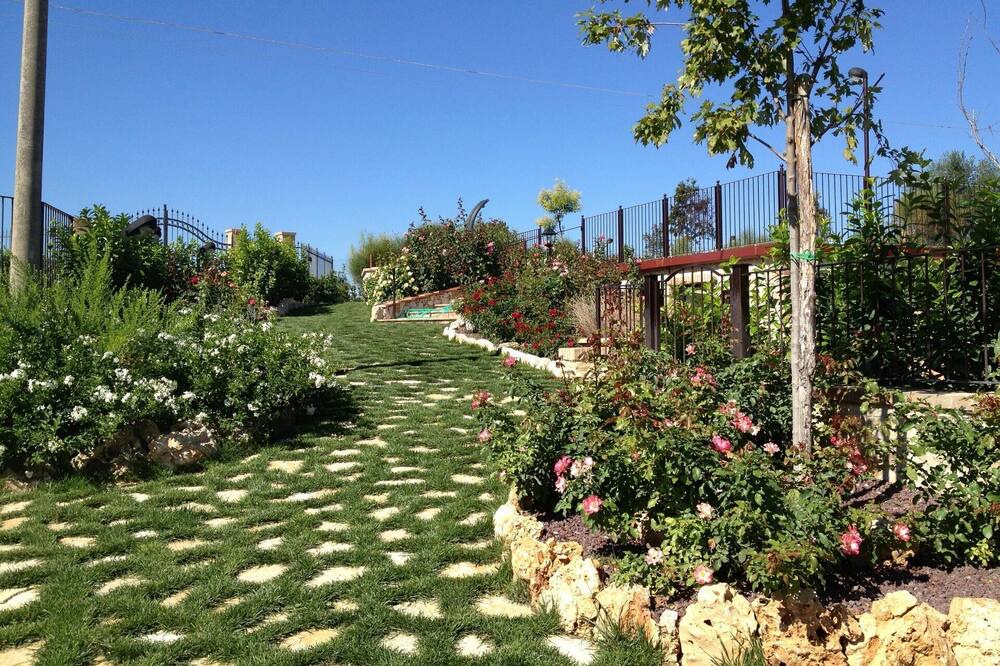 Photo of Outdoor in Montoro