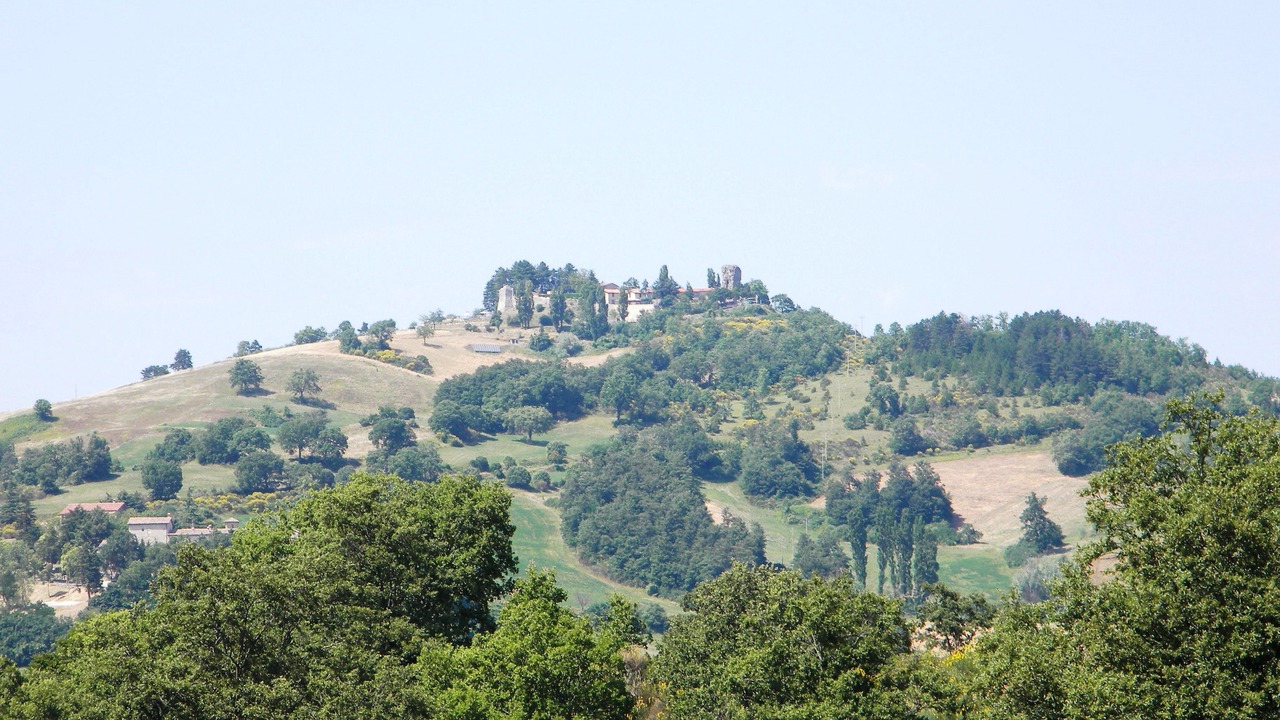 Photo of Others in Nerbisci