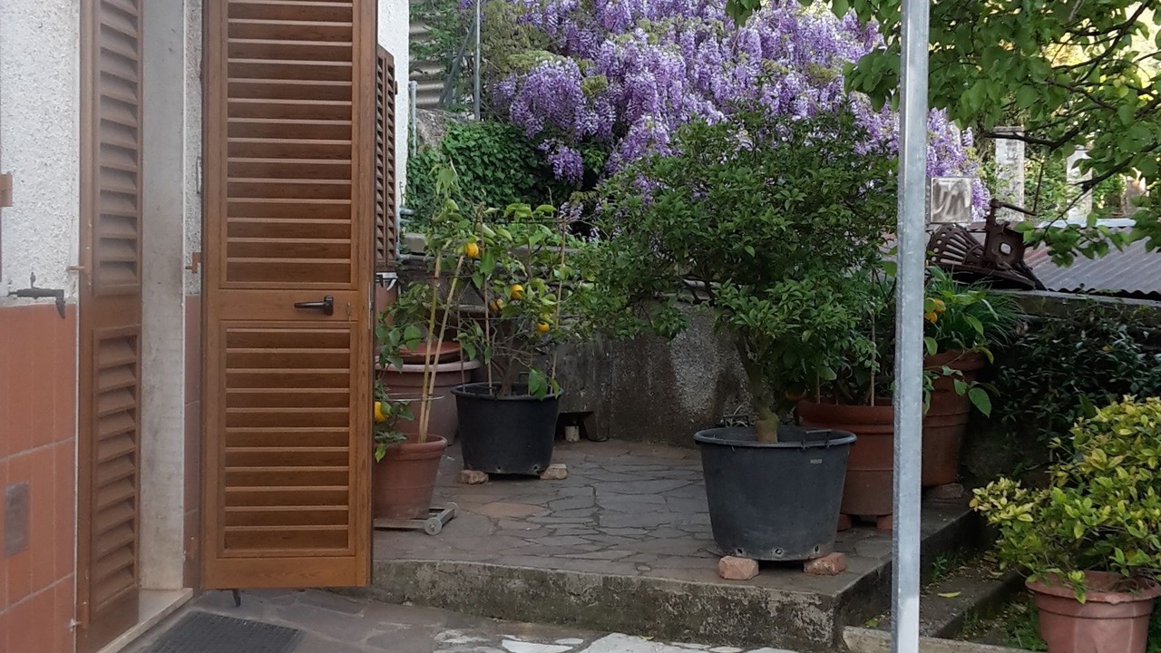 Photo of Outdoor in Nozanno