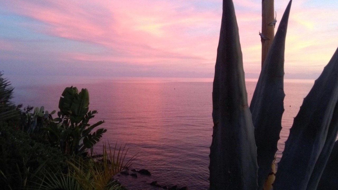 Photo of Others in Ogliastro Marina