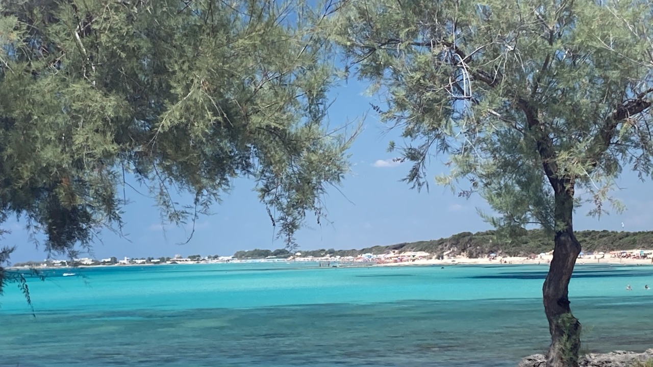Photo of Outdoor in Punta Prosciutto
