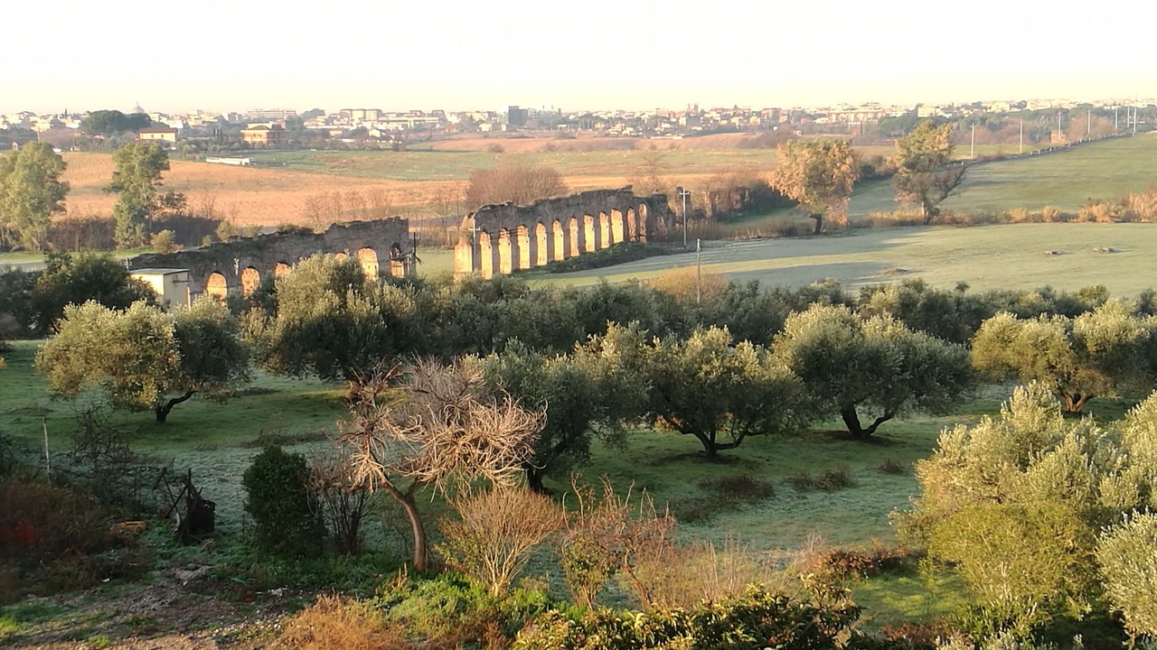 Photo of Outdoor in Zona XII Torre Spaccata