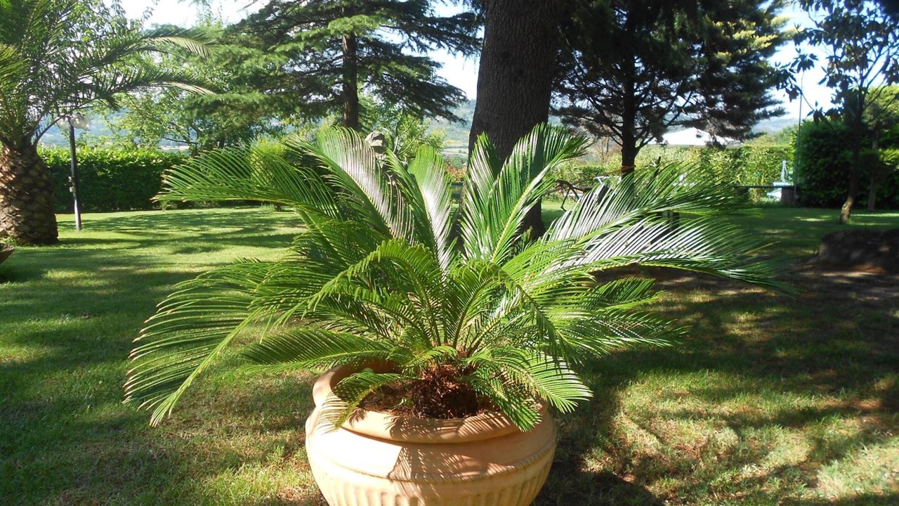 Photo of Outdoor in Orte