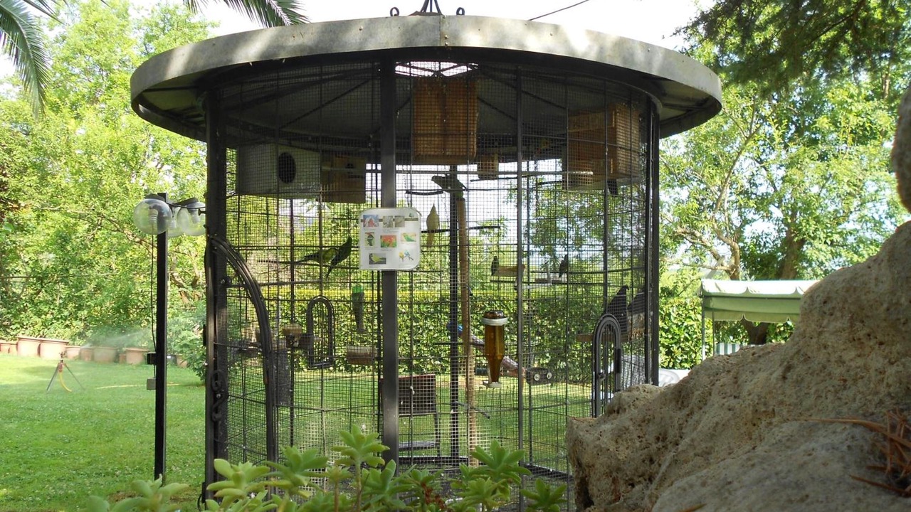 Photo of Outdoor in Orte