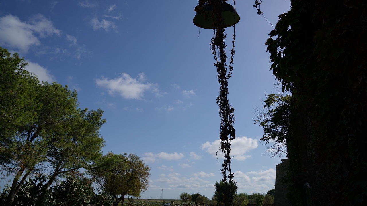 Photo of Outdoor in Manduria