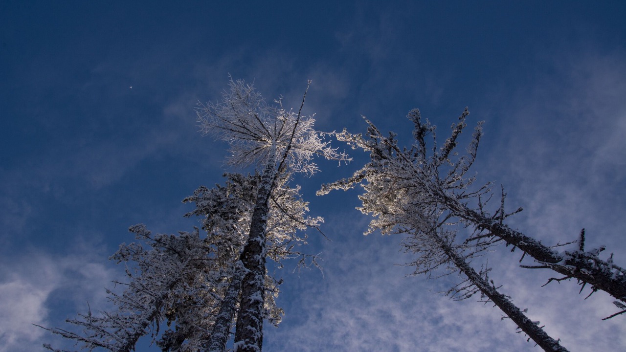 Photo of Outdoor in Barbiano