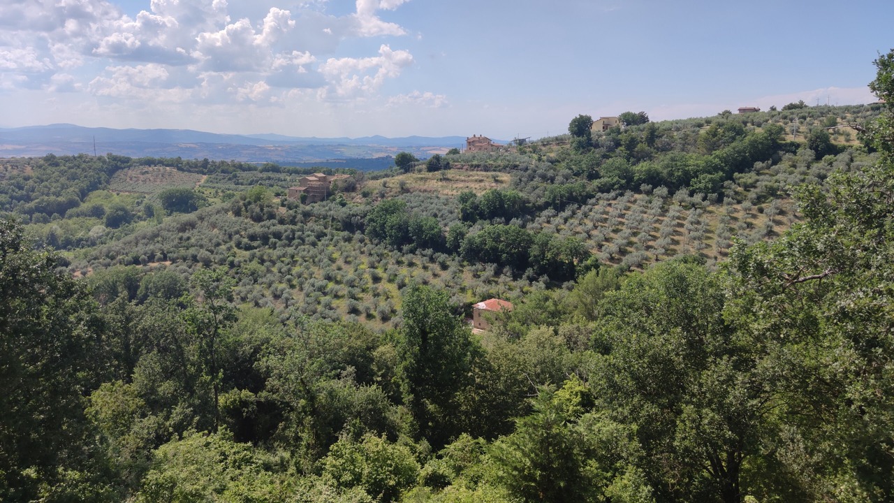 Photo of Bedroom in Canalicchio