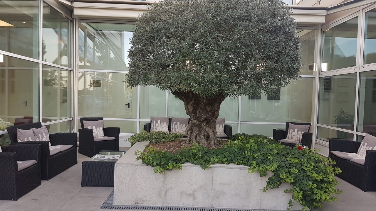 Photo of Outdoor in Gargallo