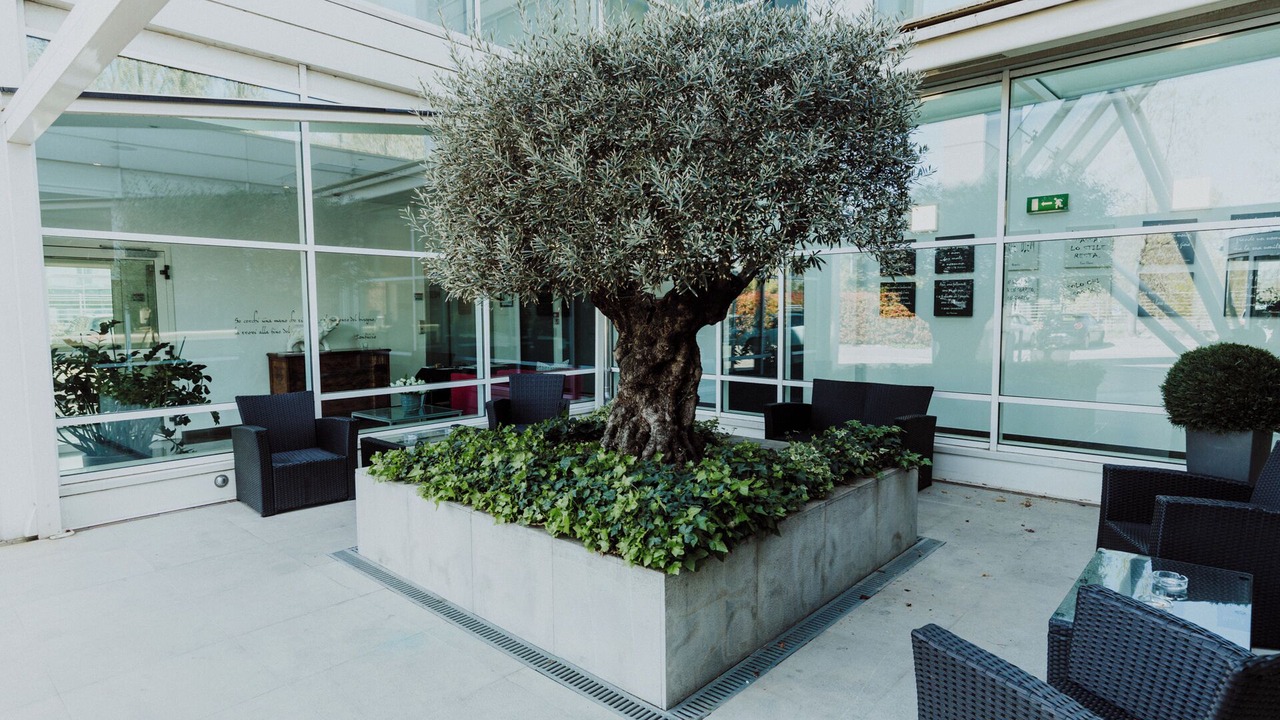 Photo of Outdoor in Gargallo