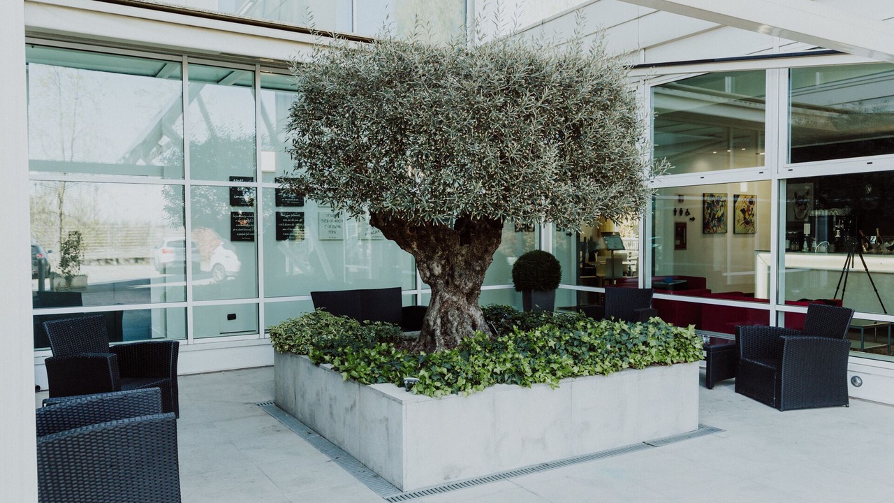 Photo of Outdoor in Gargallo