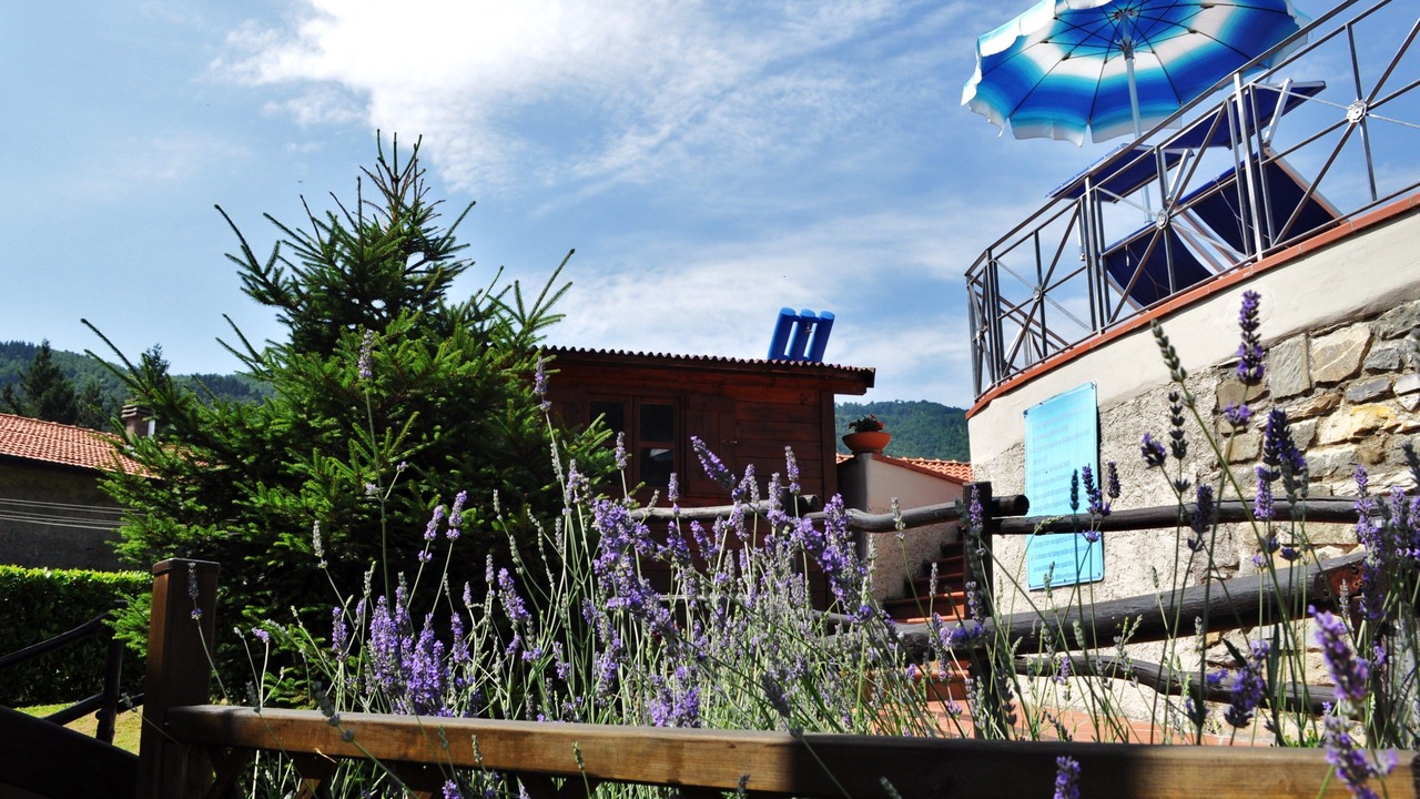 Photo of Outdoor in Comano