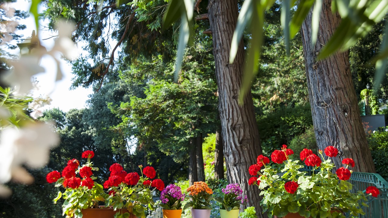 Photo of Outdoor in Belgirate