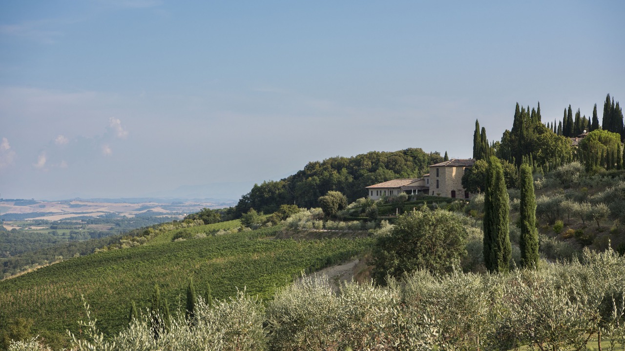 Photo of Outdoor in Castelnuovo Berardenga