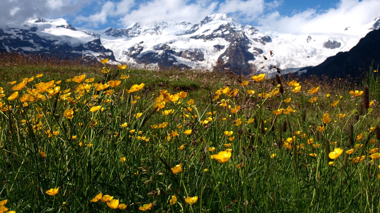 Photo of Outdoor in Saint-Vincent